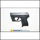 RUGER LCP II 380 ACP