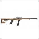 MA***FPA Closeout Sale!! **NEW** Savage Arms 64 Precision .22LR 20+1 FDE Synthetic, Chassis Pistol Grip Stock IS**NEW** (LIFETIME WARRANTY AVAILABLE & FREE LAYAWAY AVAILABLE) **NEW**