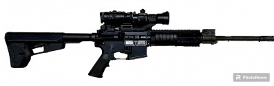 Bushmaster XM-15 with GG&G and BCM BCG